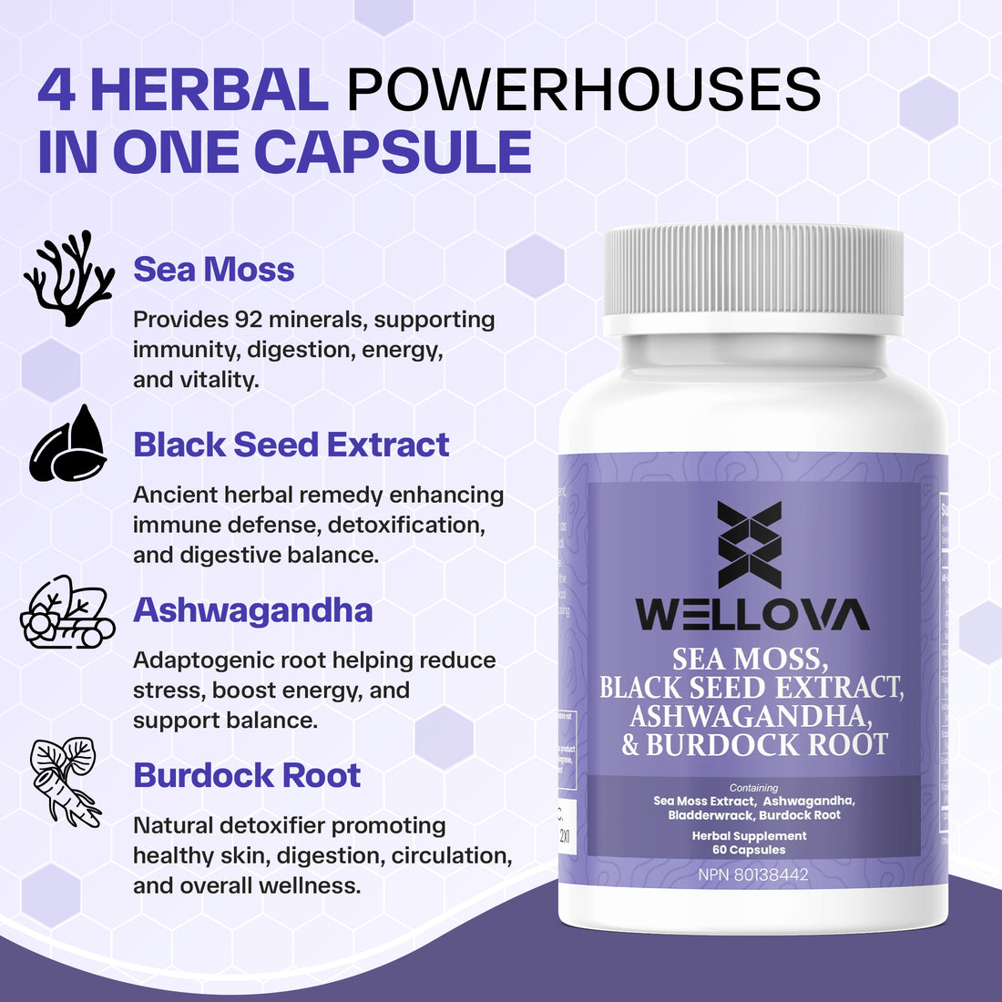 Wellova Sea Moss, Black Seed Extract, Ashwagandha & Burdock Root | Herbal Blend with Bladderwrack | 60 Capsules | Canadian Made | Natural Wellness Supplement