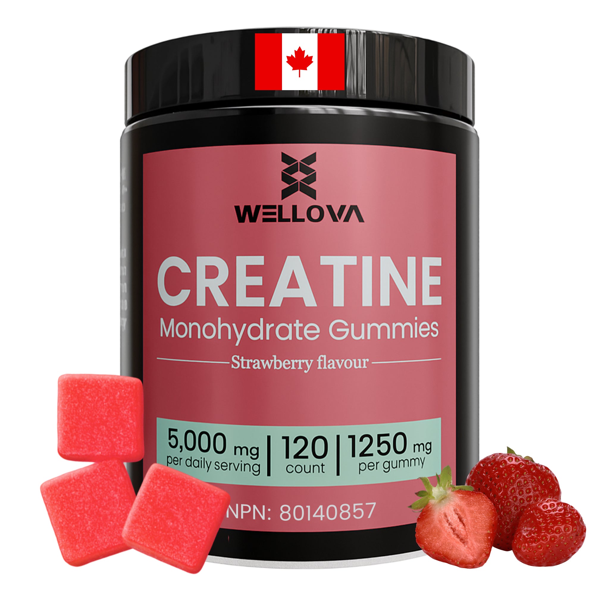 Wellova Creatine Monohydrate Gummies | Strawberry Flavour | 120 Count | 5,000 mg Daily Serving | 1,250 mg per Gummy | Canadian Made Creatine Supplement