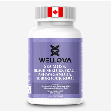 Wellova Sea Moss, Black Seed Extract, Ashwagandha & Burdock Root | Herbal Blend with Bladderwrack | 60 Capsules | Canadian Made | Natural Wellness Supplement