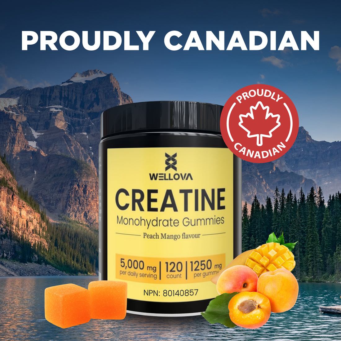 Wellova Creatine Monohydrate Gummies | Peach Mango Flavour | 120 Count | 5,000 mg Daily Serving | 1,250 mg per Gummy | Canadian Made Creatine Supplement